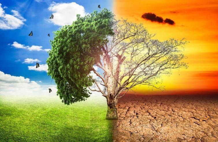 Cambiamenti climatici: pericolosi per tutti