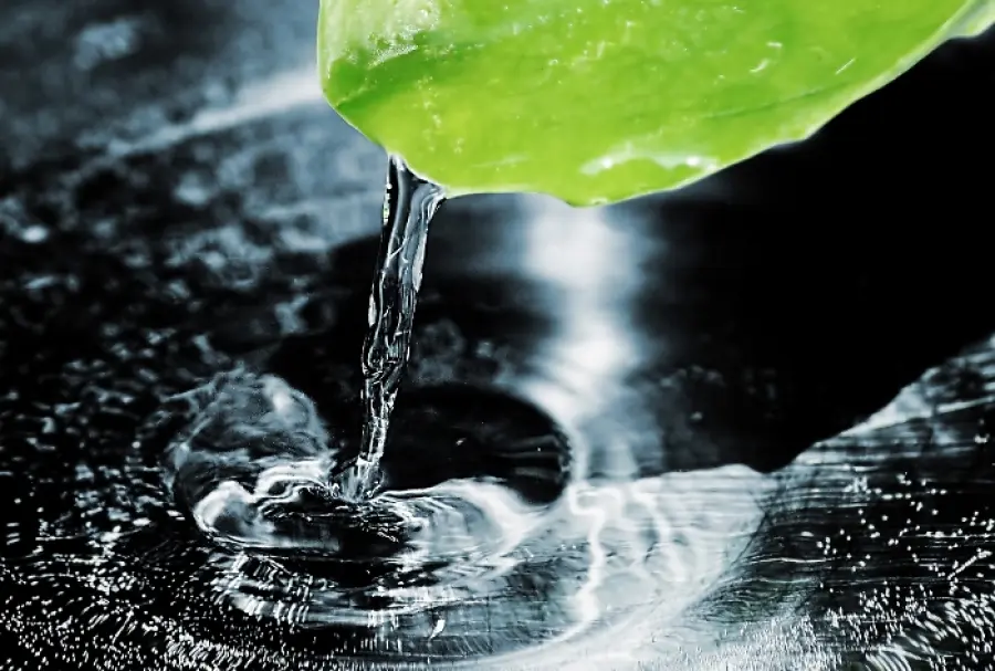 22 marzo Giornata Mondiale dell'Acqua