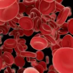 Lipidi, impariamo a conoscerli