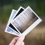 Ricerca sulla memoria: scoperto come il cervello elabora i ricordi