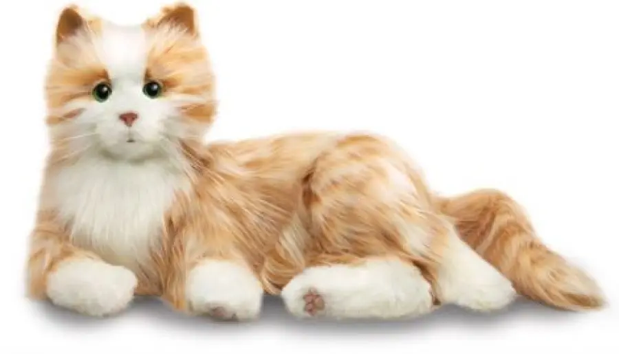 Gli animali domestici fanno sentire gli anziani meno soli: e se fossero robot?