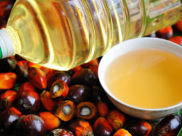 olio di palma