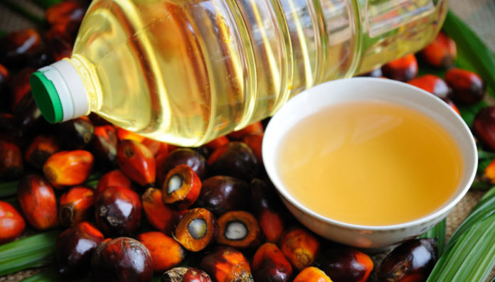 olio di palma olio di palma