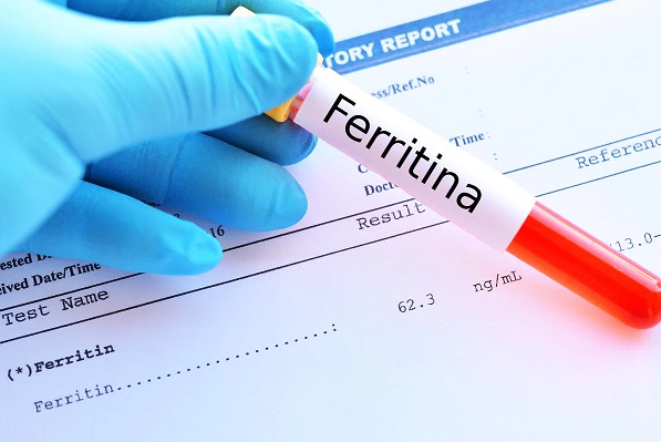 ferritina ferritina