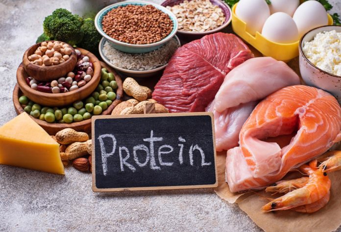 proteine proteine